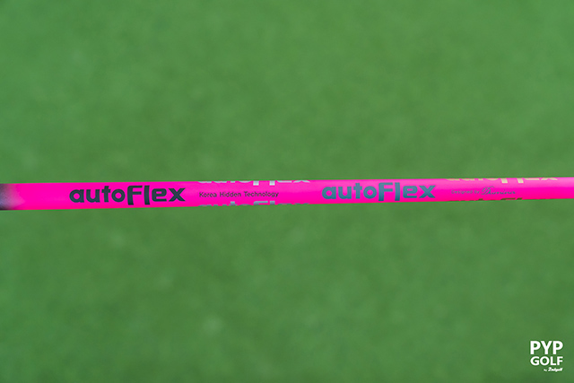 AUTOFLEX SF Iron